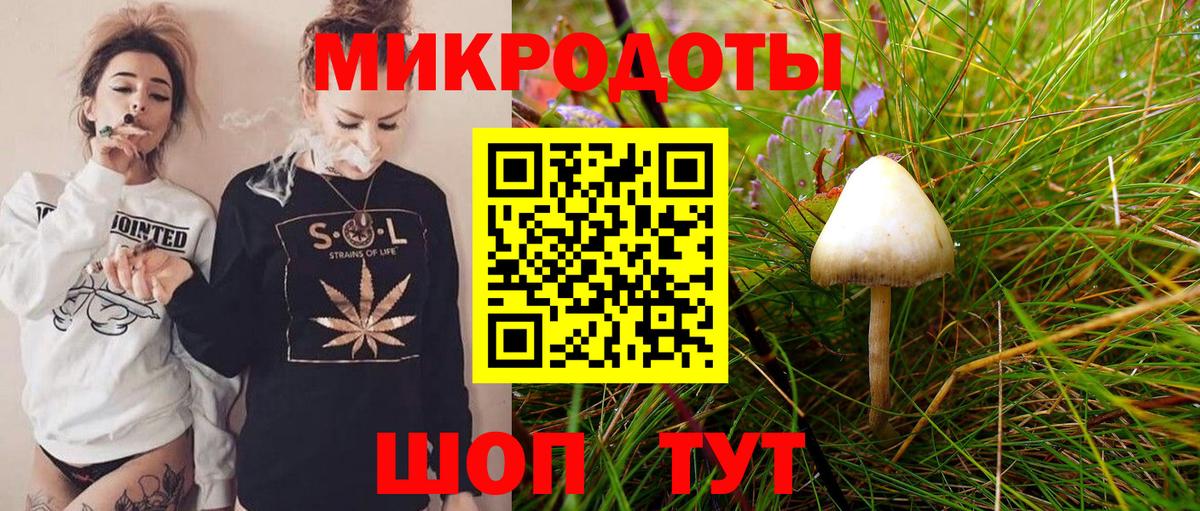 Черняховск  Псилоцибиновые грибы Cubensis  Вход с VPN  Галлюциногенные грибы мухоморы 