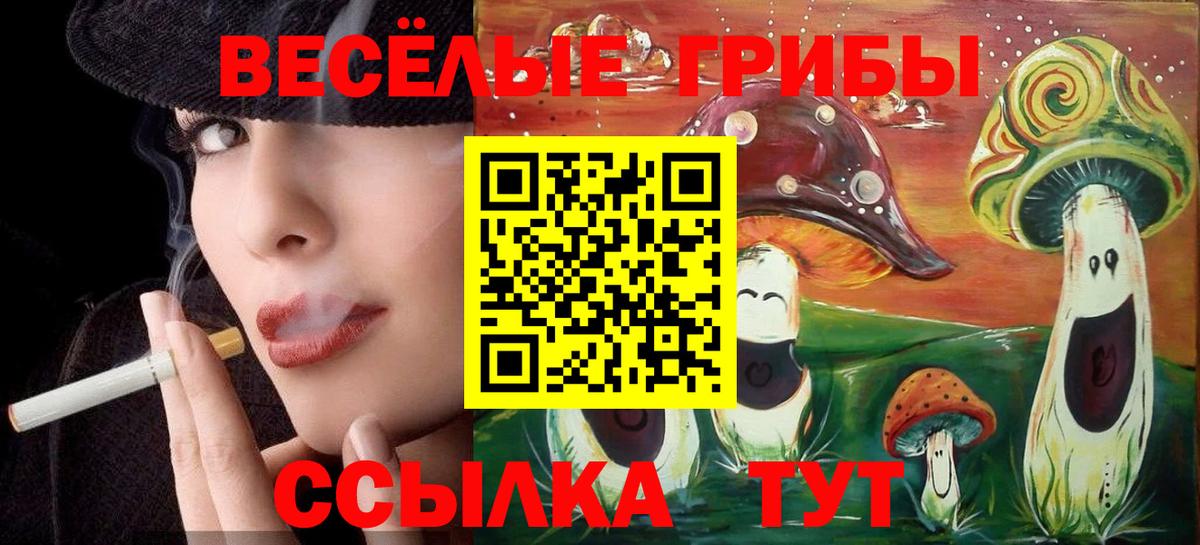 Галлюциногенные грибы GOLDEN TEACHER Черняховск
