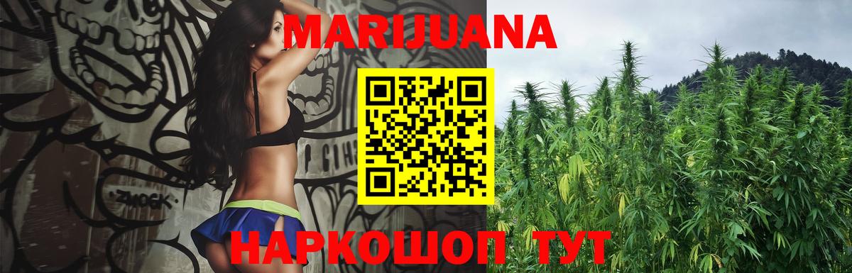 Бошки Шишки планчик Черняховск